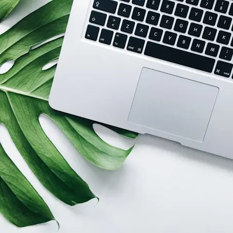 Laptop och ett stort grönt blad under.